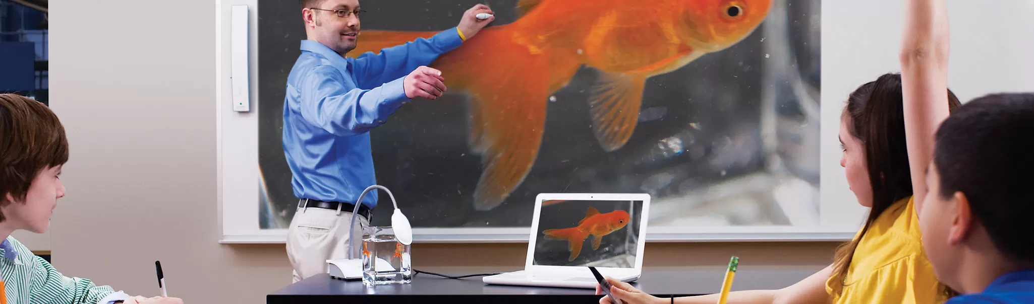 MimioView 350U Document Camera being used to film a goldfish in a jar and project onto a MimioTeach whiteboard