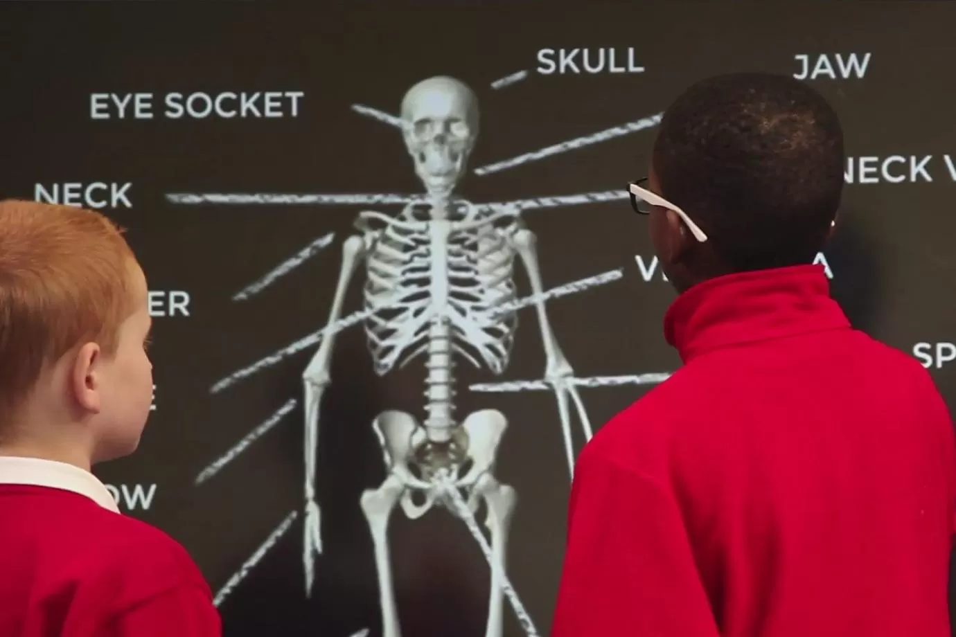 students using snowflake to label a skeleton