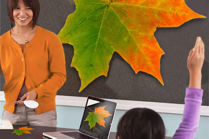 MimioView 350U Document Camera being used to film a flower and project onto a whiteboard