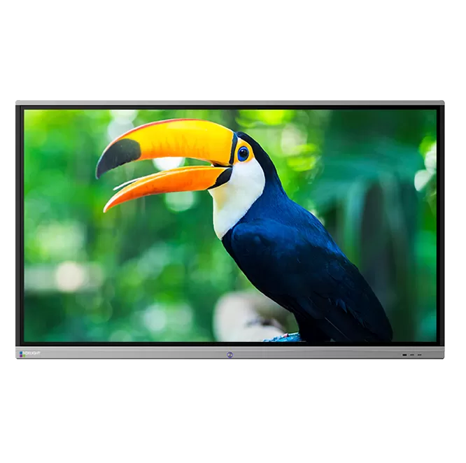 Mimio-ProColor straight on displaying a toucan