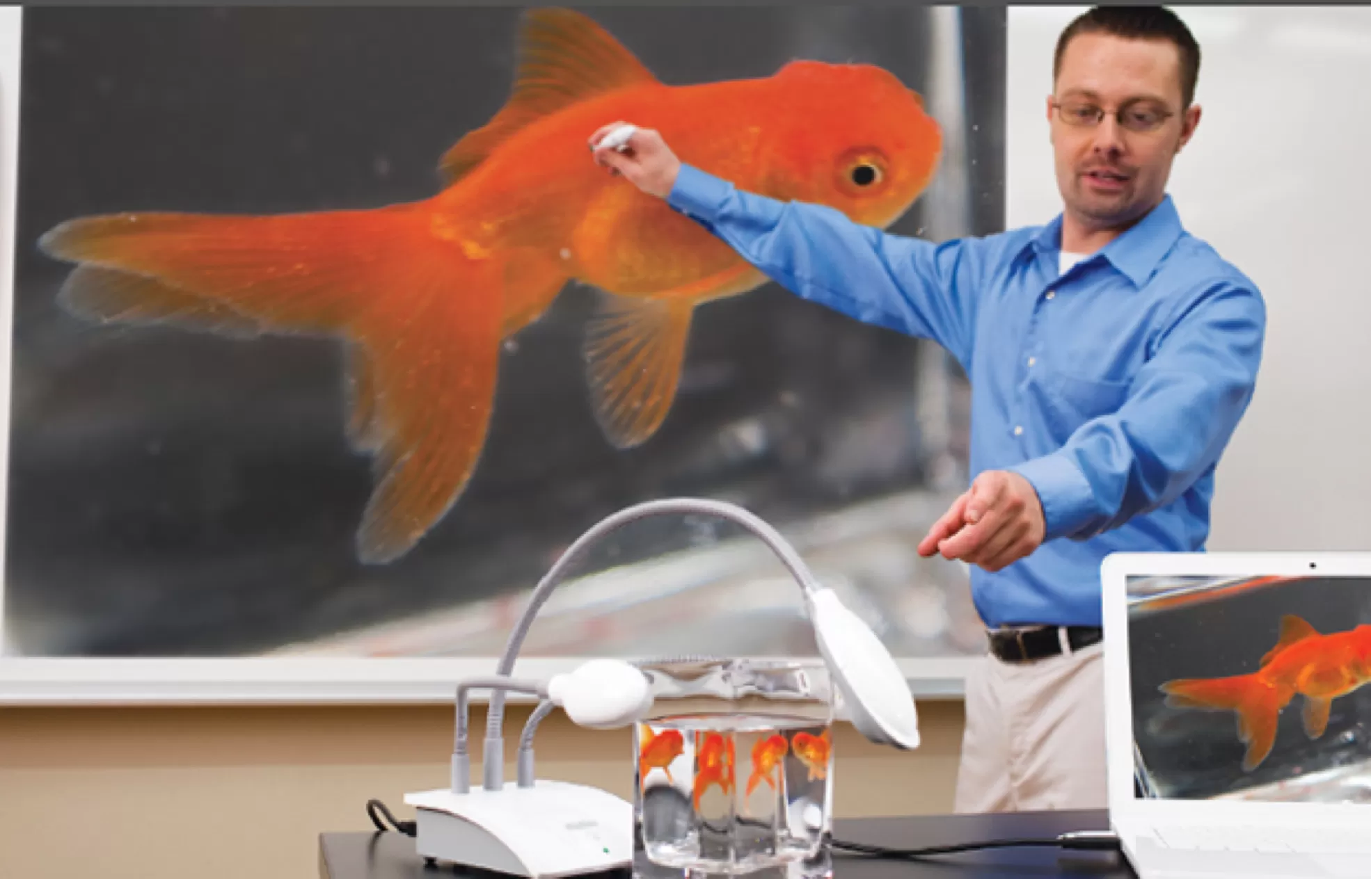 MimioView 350U Document Camera being used to film a goldfish in a jar and project onto a MimioTeach whiteboard