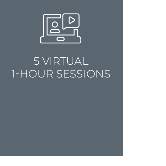 5 virtual one hour sessions' icon grey