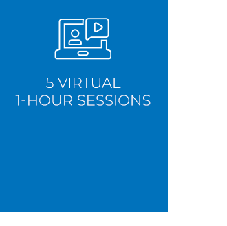 5 virtual one hour sessions' icon blue