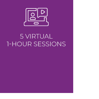 5 virtual one hour sessions' icon purple