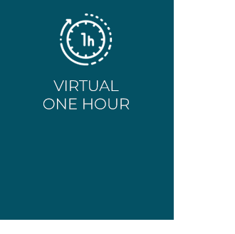 virtual one hour' icon Navy