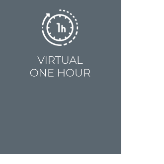 virtual one hour' icon grey