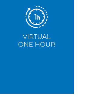 virtual one hour' icon blue