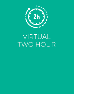 virtual two hour' icon green